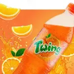 Twing Orange Drink 500ml Pet