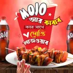 Mojo 500ml