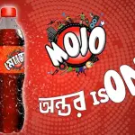 Mojo 500ml