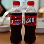 Mojo 250ml Pet