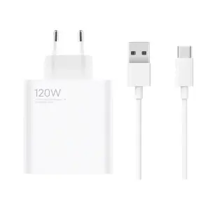 REGRSI Fast Charging Type C Cable 120W- White