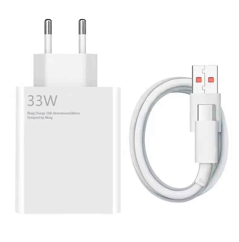 REGRSI Fast charger with Type C USB Cable 33W