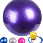 Gymnastic Fitness Ball With Pumper- Purple