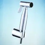 Toilet Push Shower