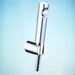 Toilet Push Shower