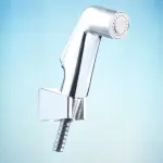 Toilet Push Shower