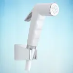 Toilet Push Shower