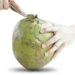 Coconut Opener For Fresh Green Coconut Water Open Tools Coconut Opener Tool Cut Gift Fruit Openers Kitchen Tools