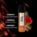 WILD STONE PERFUME BODY SPRAY IRON 120ml