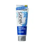 GATSBY FACE WASH PERFECT CLENSING 120gm