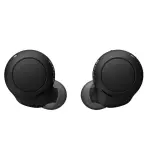 Sony True Wireless Earbuds | WF-C500