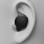 Sony True Wireless Earbuds | WF-C500