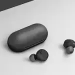 Sony True Wireless Earbuds | WF-C500