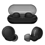 Sony True Wireless Earbuds | WF-C500