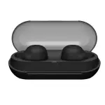Sony True Wireless Earbuds | WF-C500
