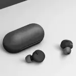 Sony True Wireless Earbuds | WF-C500