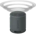 Sony Portable Wireless Speaker | XB100 Black