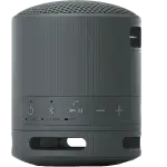 Sony Portable Wireless Speaker | XB100 Black