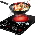 Gazi Smiss Infrared Cooker | ALP-DT 212