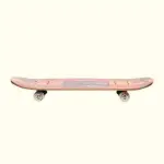 Skate Board - Small - Multi-Color