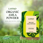 Lavino organic Amla Powder- 50gm