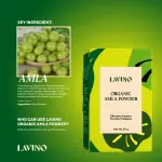 Lavino organic Amla Powder- 50gm