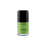 Nirvana Color Nail Enamel-Mint Mojito 33 (8ml)