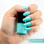 Nirvana Color Nail Enamel- Cold Wind 10 (8ml)