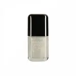 Nirvana Color Glitter Nail Enamel- Miracle Brush 21 (8ml)