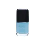 Nirvana Color Nail Enamel- Elegant Look 12 (8ml)