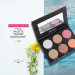 Nirvana Color Face Palette- Windy Monsoon (18gm)