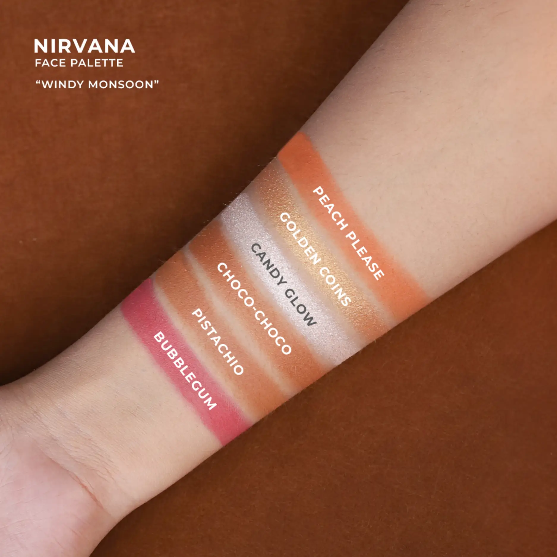 Nirvana Color Face Palette- Windy Monsoon (18gm)