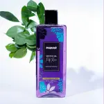Panam Pulp Rain Shower Gel- 250ml