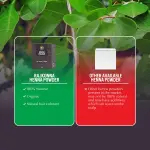 Rajkonna Henna Hair Pack- 50gm