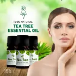 Skin Cafe Tea Tee Essential Oil- 10ml