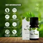 Skin Cafe Tea Tee Essential Oil- 10ml