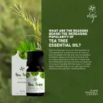 Skin Cafe Tea Tee Essential Oil- 10ml