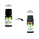 Skin Cafe Tea Tee Essential Oil- 10ml