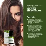 Skin Cafe Tea Tee Essential Oil- 10ml