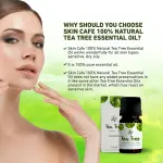 Skin Cafe Tea Tee Essential Oil- 10ml
