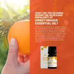 Skin cafe Sweet Orange Essential Oil- 10ml