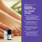 Skin cafe Rosemary Essential Oil- 10ml