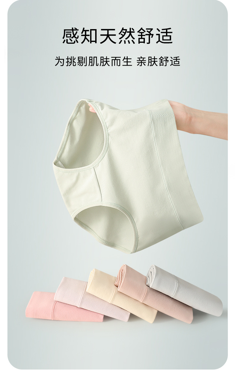 Pure Cotton Mid-Waist Antibacterial Panty (60s Count cotton)